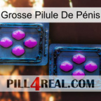 Grosse Pilule De Pénis 03